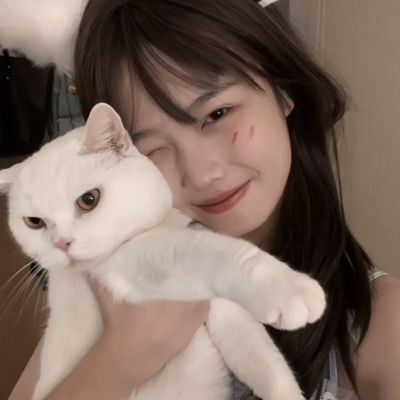 宇树科技科创板IPO申请获受理,...