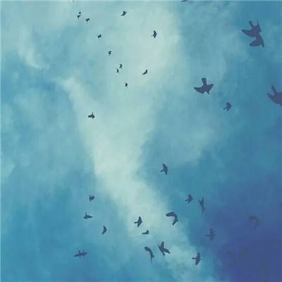 韩媒怒批崔康熙为傲慢付出代价 球迷：像遛狗一样被耍