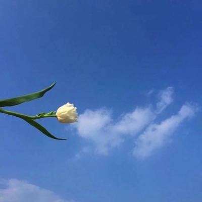 澳门网上电玩城安装正版最新版v9.6.8.6截图2