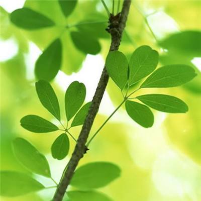 v站体育网页网页版