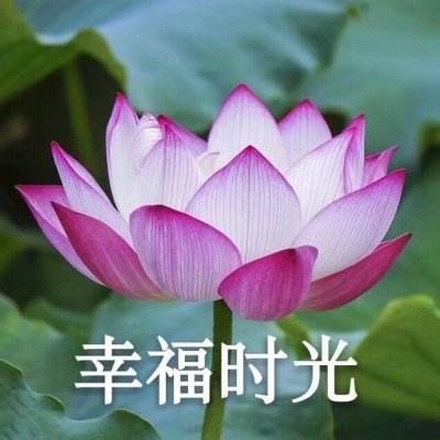 kaiyun体育官网app在线登录
