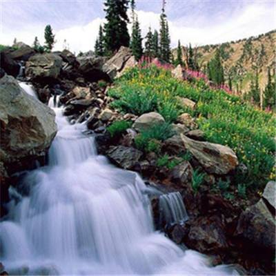 多位即将卸任的CEO将人工智能列为决定离职的原因之一